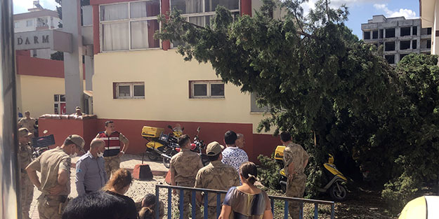 Kaldırımda bekleyen postacı kesilen yaşlı çamın altında kaldı
