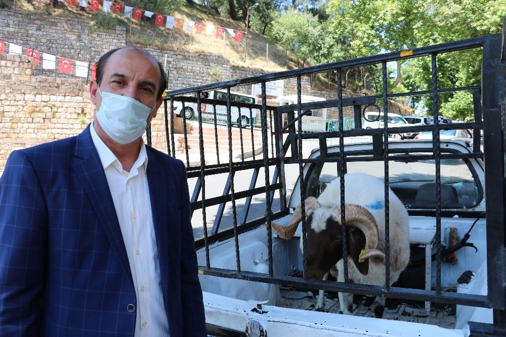 Kalenin açılışına sevindi, koç kurban etti 