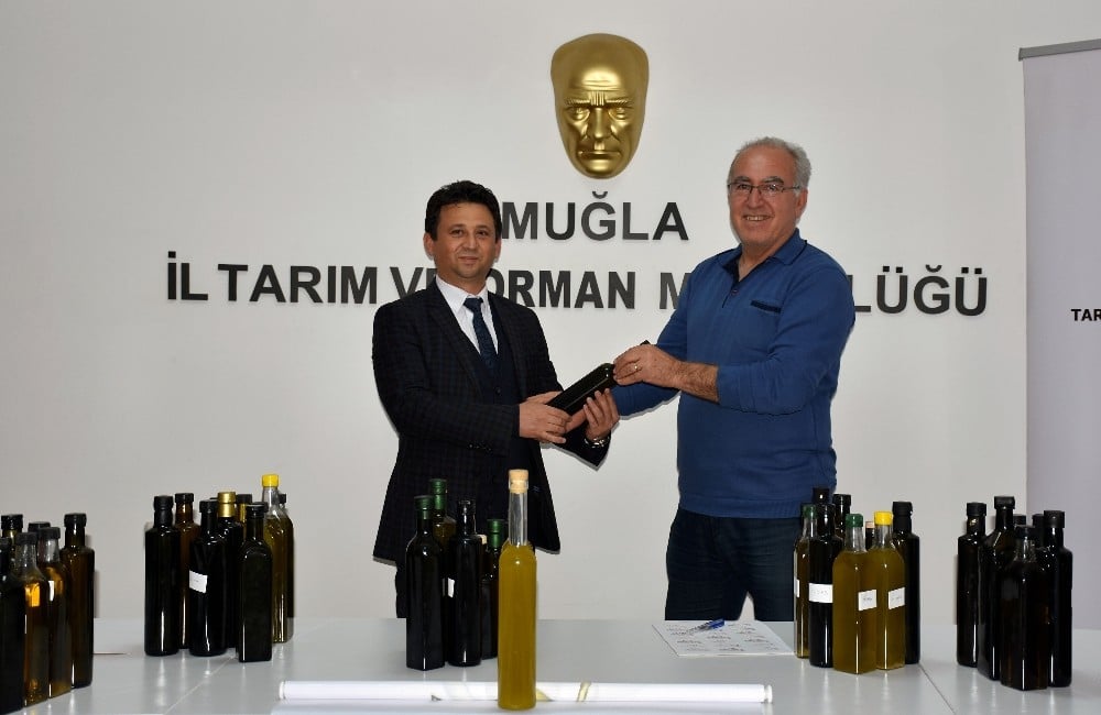 Kaliteli Zeytinyağı yarışma başvuruları sone erdi 