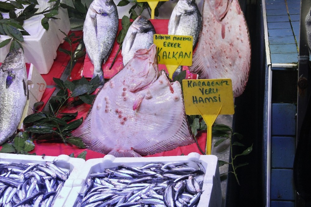 Kalkan balığının fiyatı dudak uçuklatıyor 