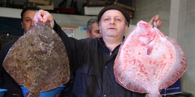 Kalkanın fiyatı yarıya düştü