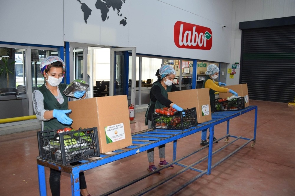 Kalkınma Kooperatifinden ihtiyaç sahiplerine sebze desteği 