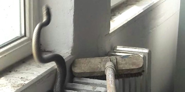 Kalorifer peteğinden çıktı! Liseyi tahliye ettiler