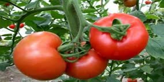 Kalp dostu 10 yiyecek