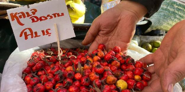 Bağışıklık sistemini güçlendiren kalp dostu Alıç meyvesi