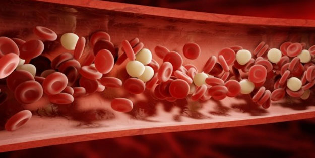 Kalp hastalıklarına karşı 10 doğal kan sulandırıcı