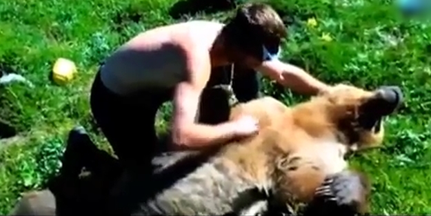 Kalp krizine yenik düşen ayı (VİDEO)