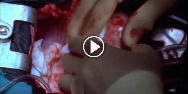 Kalp nasıl çalışıyor?