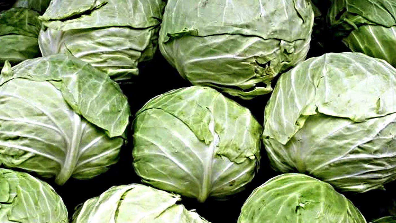 Lahana kalp sağlığını güçlendiren gıdalar!