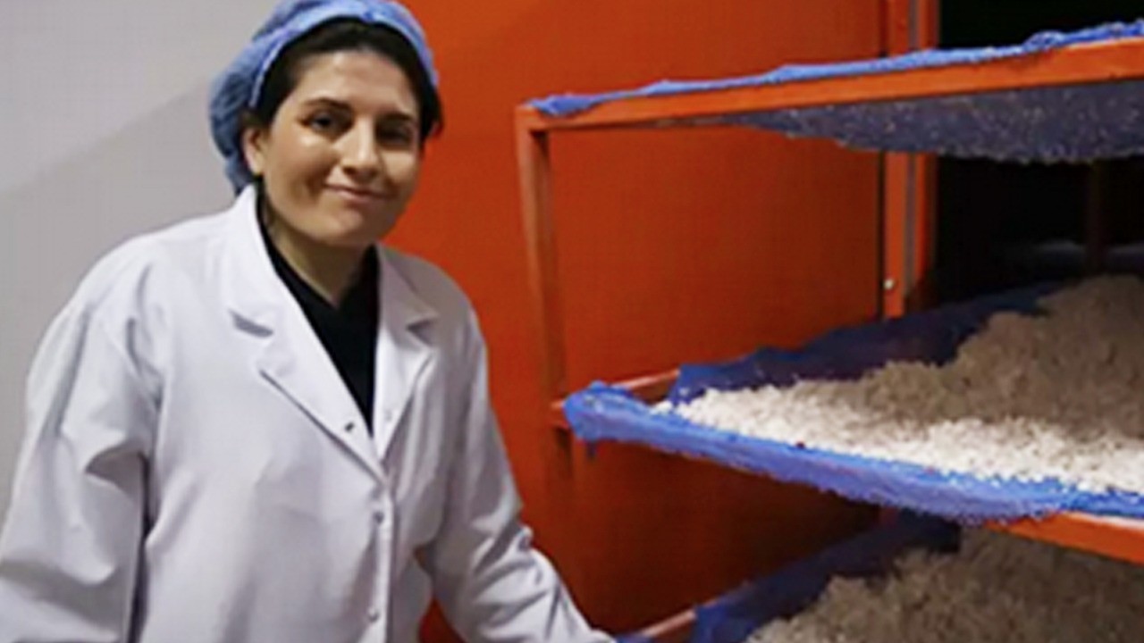 Yumurta kabuğundan üretti, sakın çöpe atmayın: Kendi işini yapıyor!