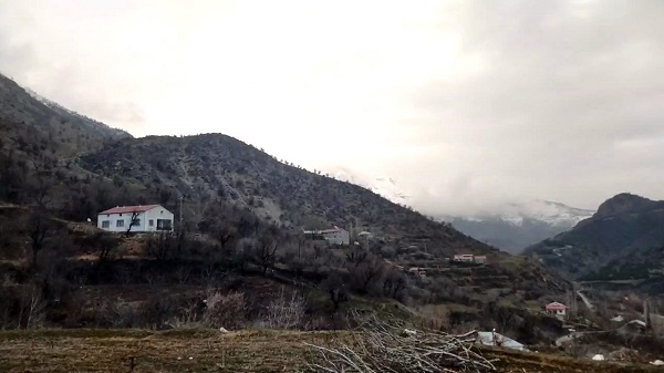 Kamera takıldı gerçek ortaya çıktı! Her gece köye böyle geliyorlarmış