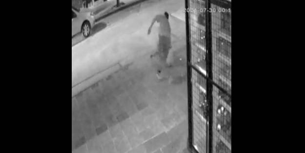 Kameraya böyle yansıdı! Belediyeden suç duyurusu