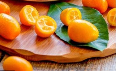 Kamkat faydaları nelerdir?