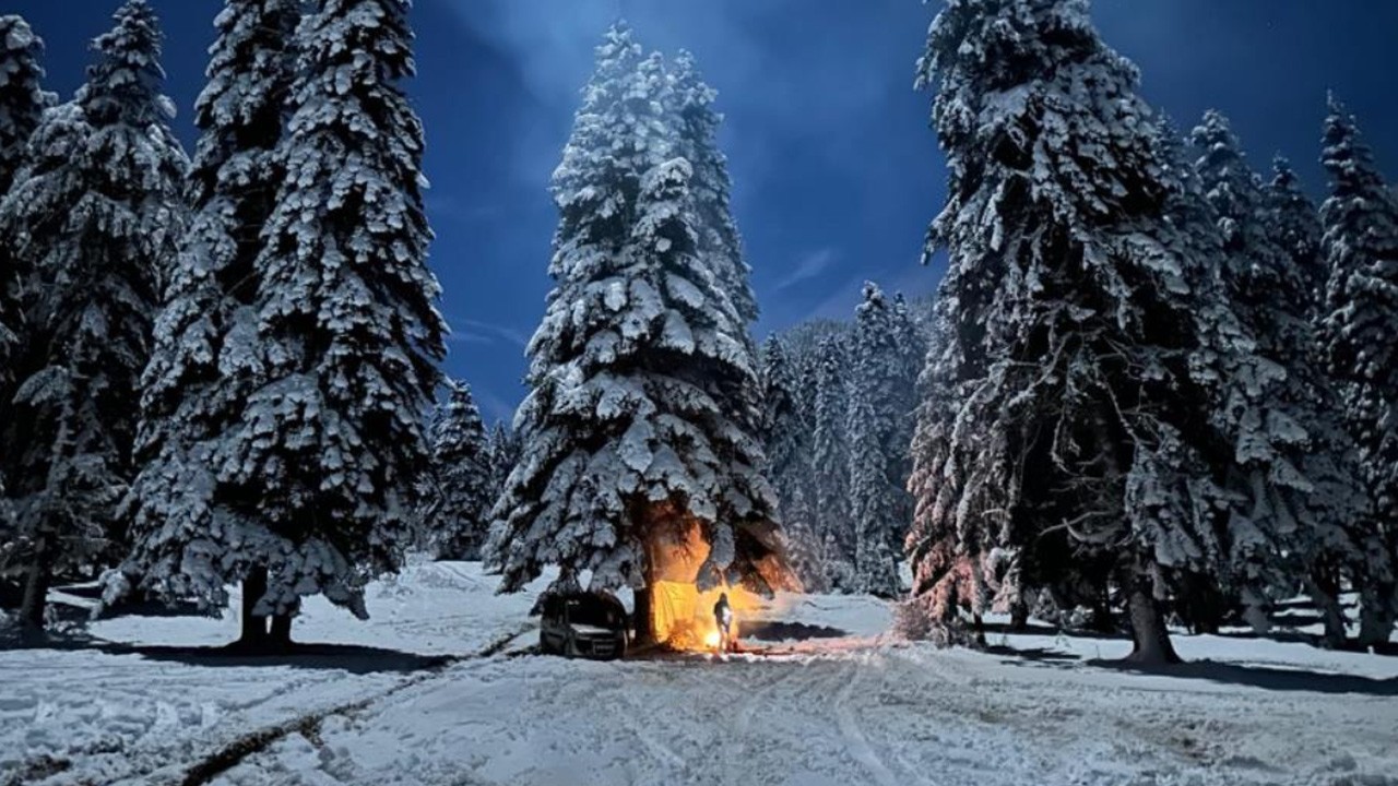 Kamp yapan gençlere tilki sürprizi