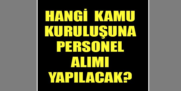 Kamu alımları iş başvurusu