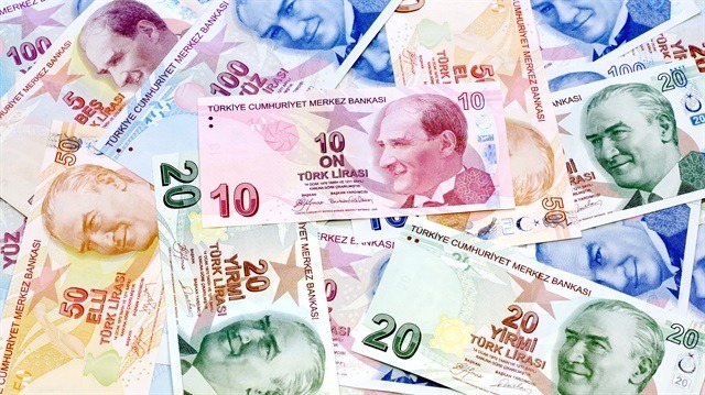 Kamu ihalelerinde Türk lirası şartı