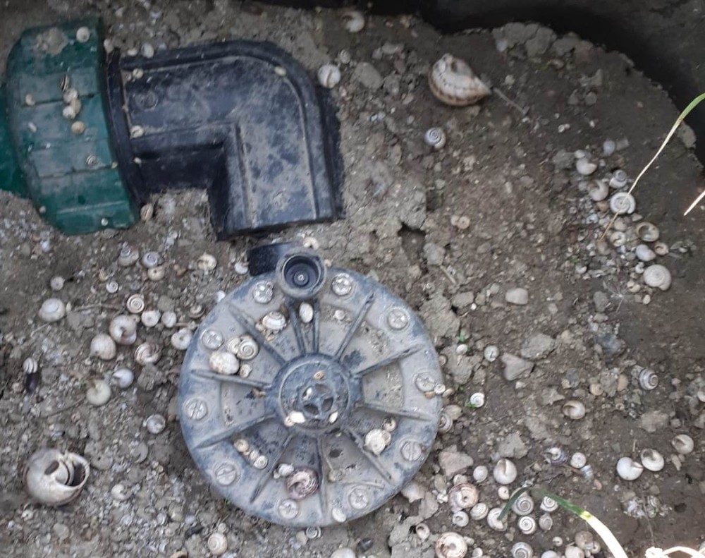 Kamu malını çaldılar, kameralara takıldılar 