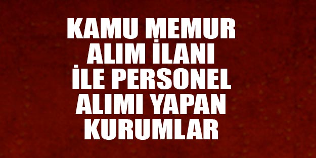 Kamu memur alım ilanları başvuru