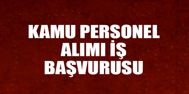 Kamu personel alımları kamu sözleşmeli personel alım başvuruları