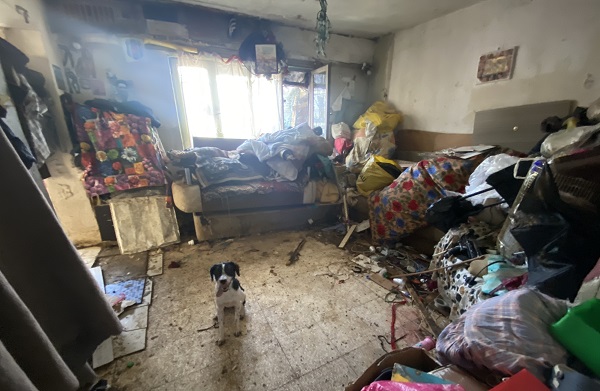 Kamyon kamyon boşaltıldı! Bakın o çöp evden neler çıktı