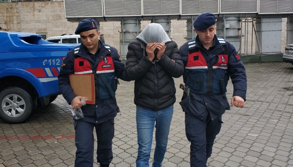 Kamyonda bonzai ile yakalandı 