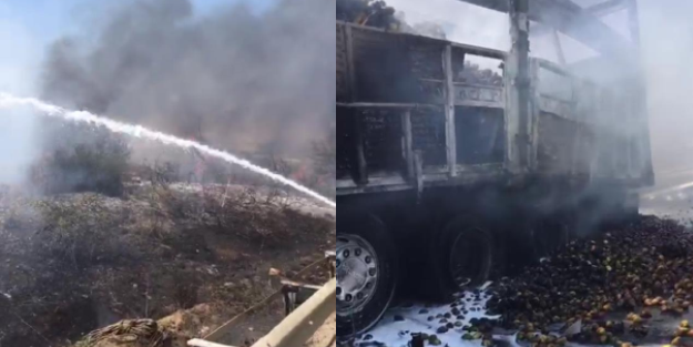 Kamyondaki yangın ağaçlığı mahvetti