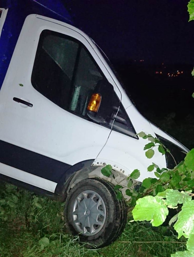 Kamyonet fındık bahçesine yuvarlandı: 1 yaralı 
