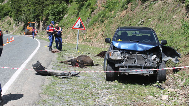 Kamyonet yol kenarında hayvan otlatan anne ile kızına çarptı: 1 ölü, 1 yaralı