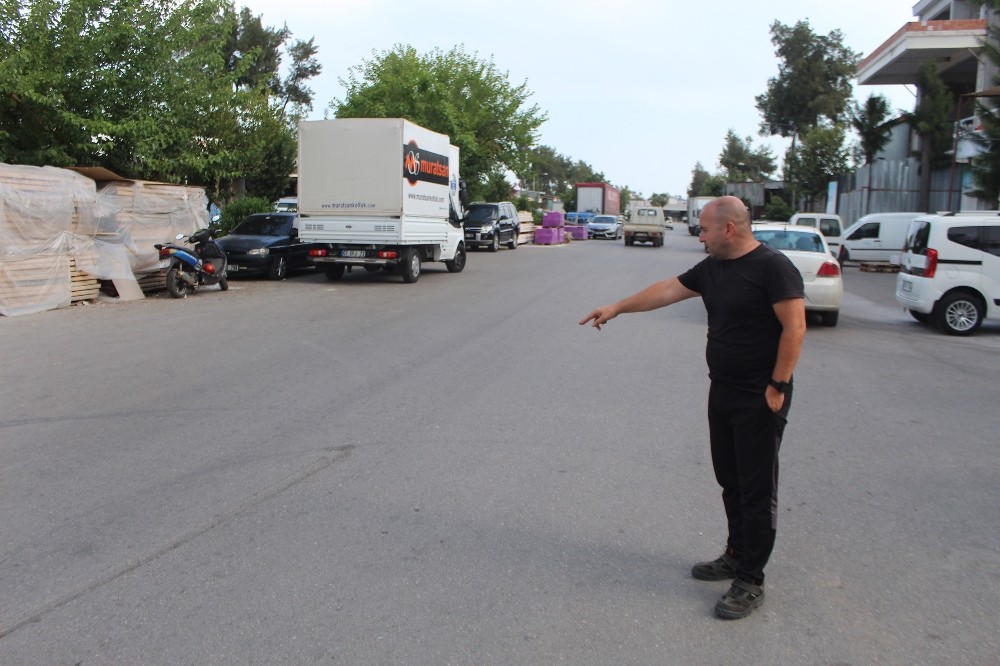 Kamyonetin çarpıp kaçtığı köpek barınakta tedavi altın alındı 