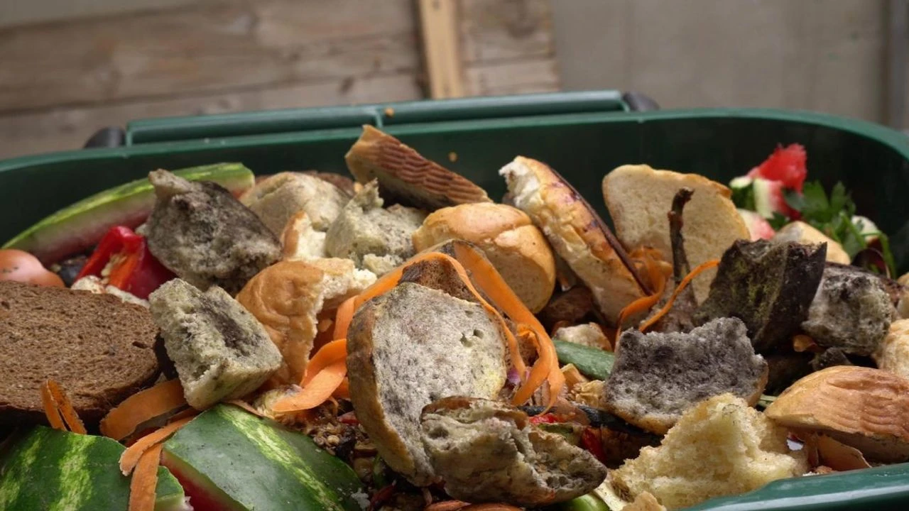 Kamyonlar dolusu gıda çöpe gidiyor! Nedeni şaşırtacak