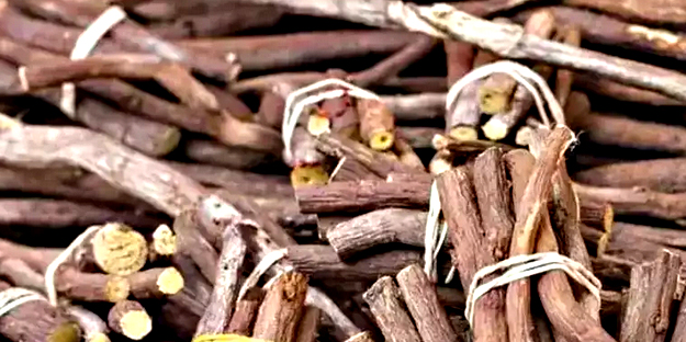 Kan damarlarını daraltıyor: Vücut hastalıklara karşı daha dayanıksız oluyor! Bu besinlere dikkat