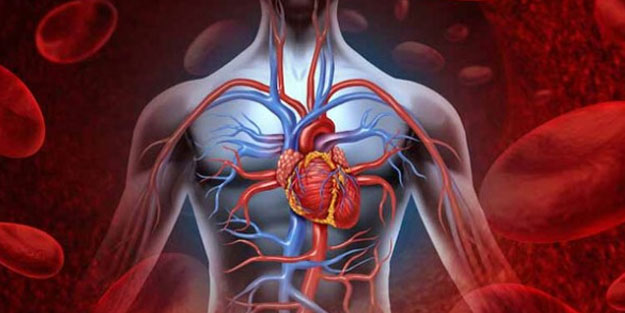 Kan dolaşımına iyi gelen 5 bitki