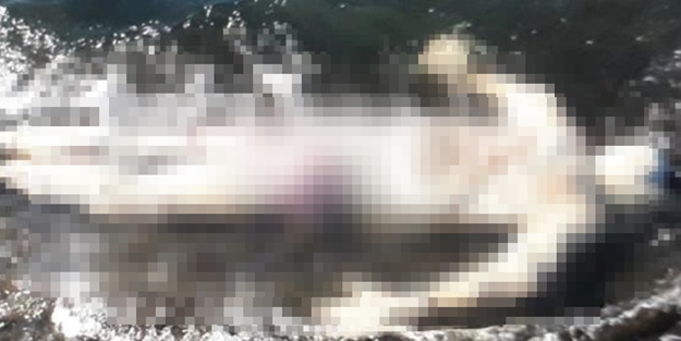 Samsun'da kan donduran görüntü! Ceset beyazlayıp...
