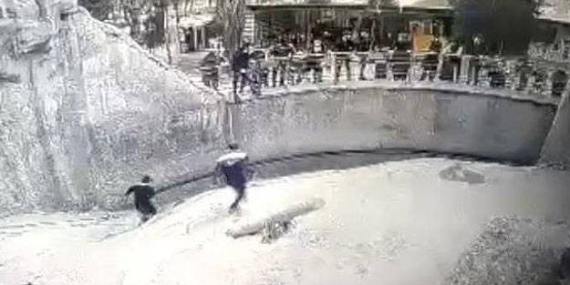 Kan donduran olay! 3 yaşındaki kızını ayının önüne attı