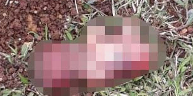 Kan donduran olay! Parkta cenin buldular