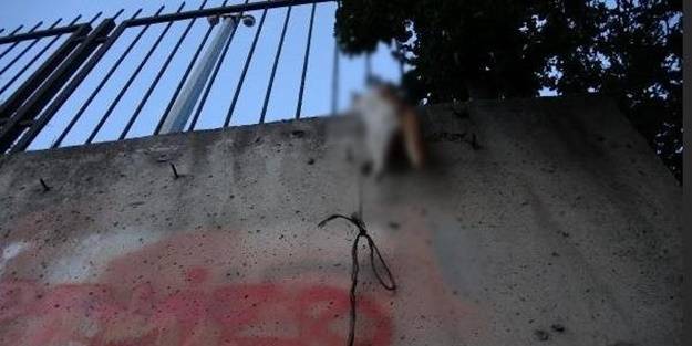 Kan donduran vahşet! Boğazından iple asarak katlettiler
