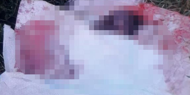 Kan donduran vicdansızlık! Çöpte bebek cesedi bulundu