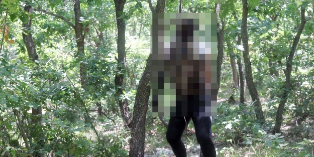 Kan dondurdu: Ağaca asılı halde cesedi bulundu, kayıp olmuştu! dehşete düşüren olay