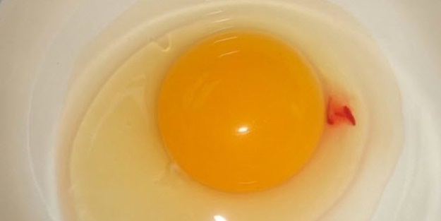 Kan pıhtısı olan yumurtayı yemek zararlı mı?