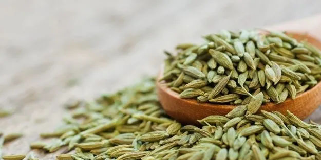 Kan şekerini düzenleyen süper besin! Düzenli tüketildiğinde kan depolarını fullüyor!