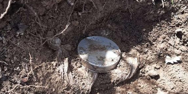 Kana bulayacaklardı! Toprağa gömülü vaziyette bulundu