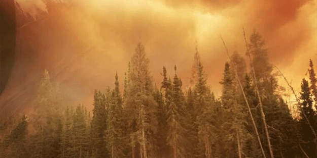 Kanada cayır cayır yanıyor! 78 noktada yangın çıktı