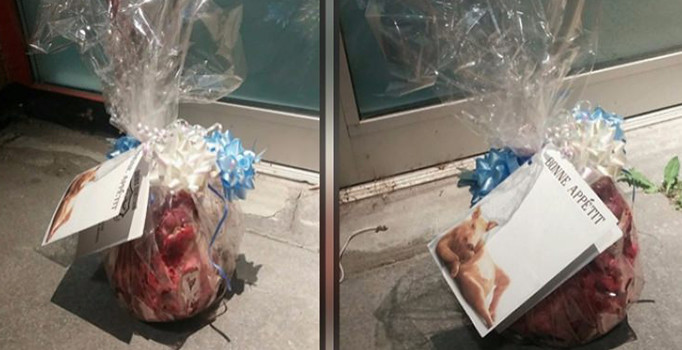 Kanada’da İslam Kültür Merkezi’nin girişine domuz kafası bırakıldı