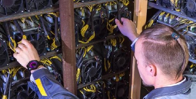 Kanada'da kripto enerjiden bitki üretiliyor