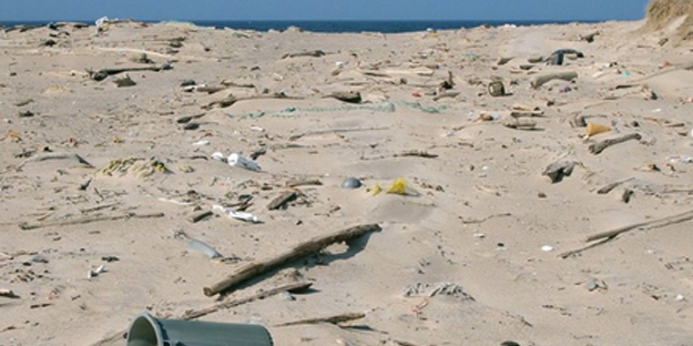 Kanadalı dünyaca tanınan ünlü isim 45 yıldır tek başına kendini oraya kilitledi!