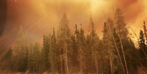 Kanada'nın Alberta eyaletinde orman yangınları nedeniyle olağanüstü hal ilan edildi