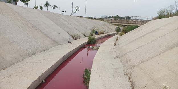Kanalın suyu kırmızı akmaya başladı!