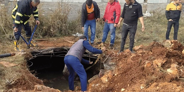 Kanalizasyon hattından gelen sesler üzerine harekete geçildi! Görenler şok oldu
