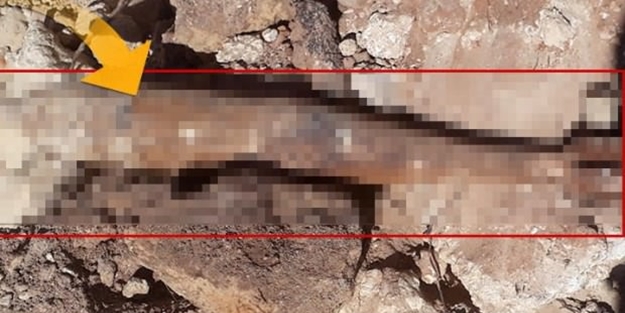 Kanalizasyonda bulundu! Hemen güvenlik önlemi alındı