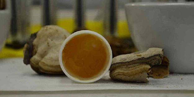 Kanamaları erken durduran formül bulundu